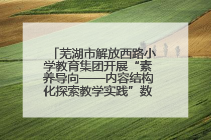 芜湖市解放西路小学教育集团开展“素养导向——内容结构化探索教学实践”数学专题研讨活动
