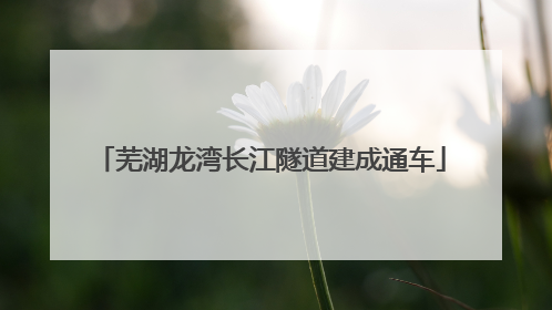 芜湖龙湾长江隧道建成通车