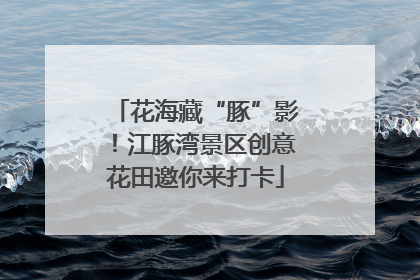 花海藏“豚”影！江豚湾景区创意花田邀你来打卡