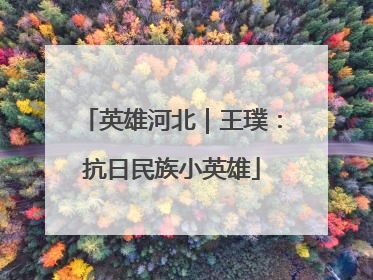 英雄河北｜王璞：抗日民族小英雄