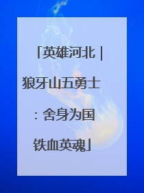 英雄河北｜狼牙山五勇士：舍身为国 铁血英魂