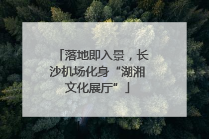 落地即入景，长沙机场化身“湖湘文化展厅”