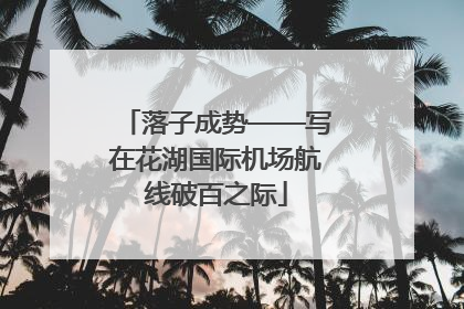 落子成势——写在花湖国际机场航线破百之际
