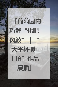 葡萄园内巧解“化肥风波”｜“天平杯·随手拍”作品展播