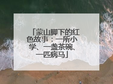 蒙山脚下的红色故事：一所小学、一盏茶碗、一匹病马