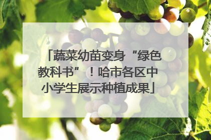 蔬菜幼苗变身“绿色教科书”！哈市各区中小学生展示种植成果