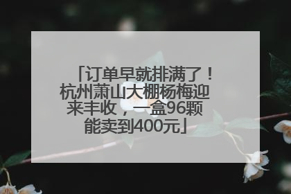 订单早就排满了！杭州萧山大棚杨梅迎来丰收，一盒96颗能卖到400元