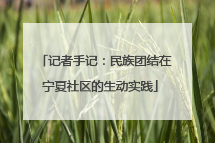 记者手记：民族团结在宁夏社区的生动实践
