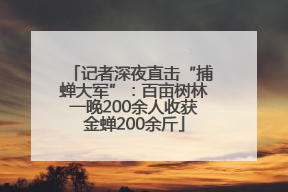 记者深夜直击“捕蝉大军”：百亩树林一晚200余人收获金蝉200余斤
