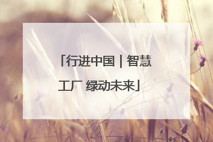 行进中国｜智慧工厂 绿动未来