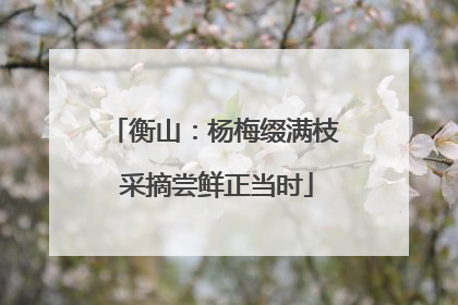 衡山：杨梅缀满枝 采摘尝鲜正当时