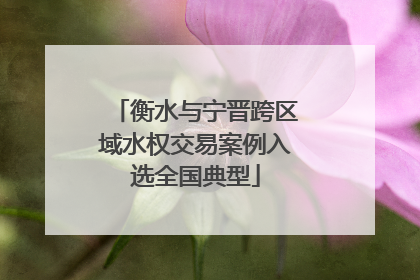 衡水与宁晋跨区域水权交易案例入选全国典型