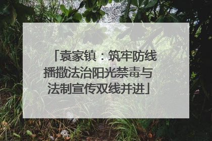 袁家镇：筑牢防线播撒法治阳光禁毒与法制宣传双线并进