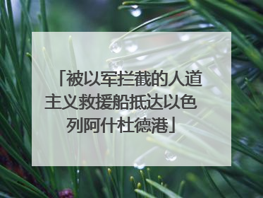 被以军拦截的人道主义救援船抵达以色列阿什杜德港