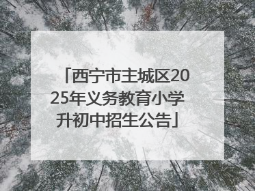 西宁市主城区2025年义务教育小学升初中招生公告
