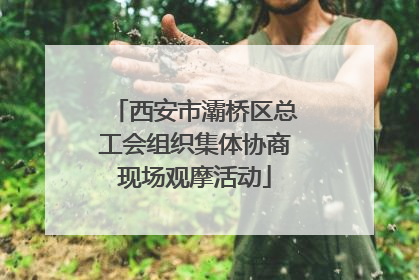 西安市灞桥区总工会组织集体协商现场观摩活动