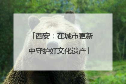 西安：在城市更新中守护好文化遗产