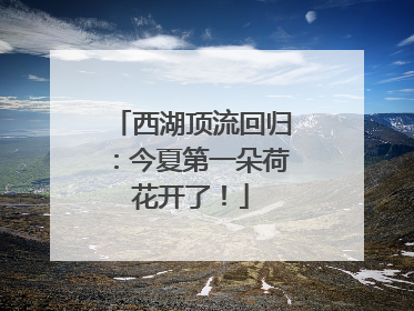 西湖顶流回归：今夏第一朵荷花开了！