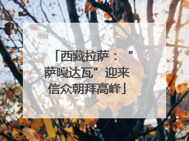 西藏拉萨：“萨嘎达瓦”迎来信众朝拜高峰