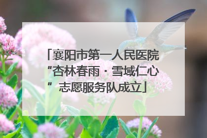 襄阳市第一人民医院“杏林春雨・雪域仁心”志愿服务队成立