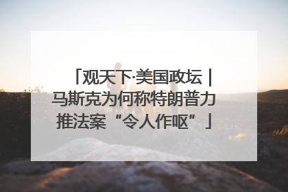 观天下·美国政坛｜马斯克为何称特朗普力推法案“令人作呕”
