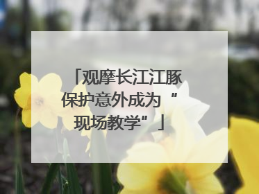 观摩长江江豚保护意外成为“现场教学”