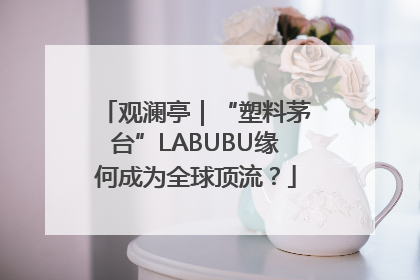 观澜亭｜“塑料茅台”LABUBU缘何成为全球顶流？