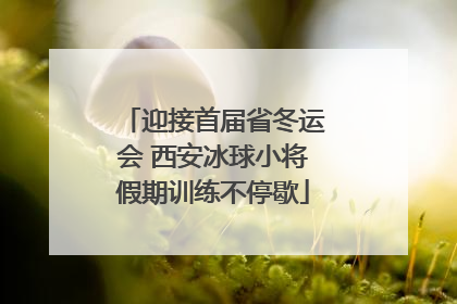 迎接首届省冬运会 西安冰球小将假期训练不停歇