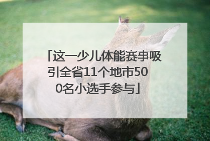 这一少儿体能赛事吸引全省11个地市500名小选手参与