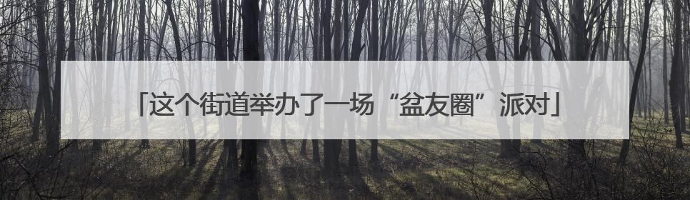 这个街道举办了一场“盆友圈”派对