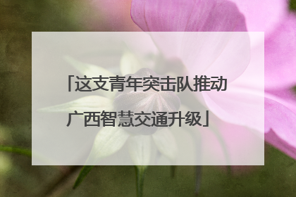 这支青年突击队推动广西智慧交通升级