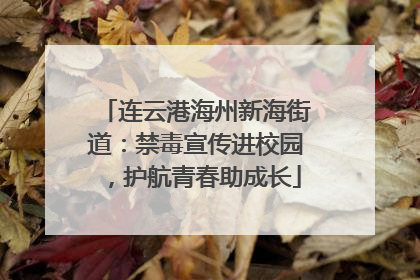 连云港海州新海街道：禁毒宣传进校园，护航青春助成长