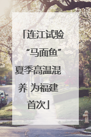 连江试验“马面鱼”夏季高温混养 为福建首次