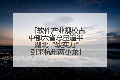 软件产业规模占中部六省总量逾半 湖北“软实力”引来杭州两小龙