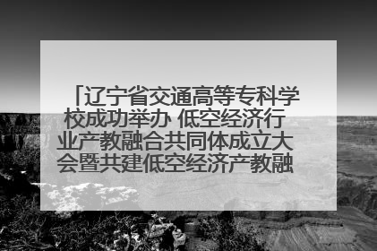辽宁省交通高等专科学校成功举办 低空经济行业产教融合共同体成立大会暨共建低空经济产教融合新生态论坛