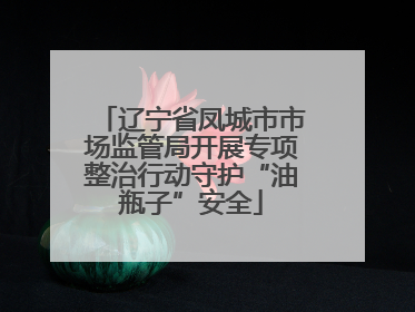 辽宁省凤城市市场监管局开展专项整治行动守护“油瓶子”安全