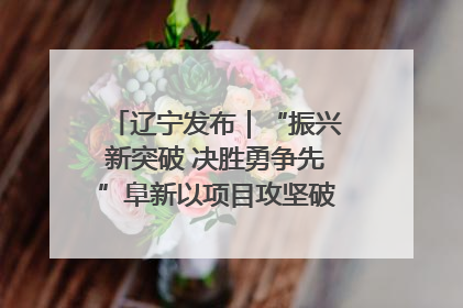 辽宁发布｜“振兴新突破 决胜勇争先”阜新以项目攻坚破解发展瓶颈 经济发展实现良好开局