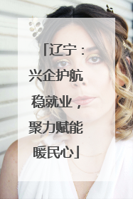 辽宁：兴企护航稳就业，聚力赋能暖民心