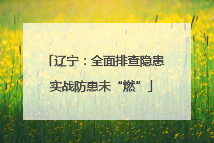 辽宁：全面排查隐患 实战防患未“燃”