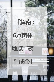 辉南：6万亩林地点“药”成金