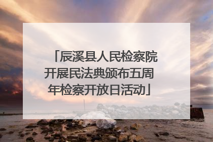 辰溪县人民检察院开展民法典颁布五周年检察开放日活动