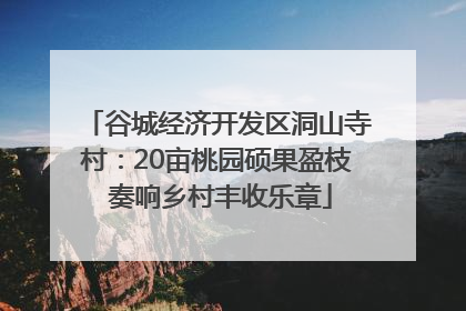 谷城经济开发区洞山寺村：20亩桃园硕果盈枝 奏响乡村丰收乐章