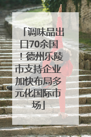 调味品出口70余国！德州乐陵市支持企业加快布局多元化国际市场