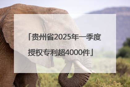 贵州省2025年一季度授权专利超4000件