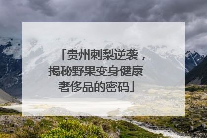 贵州刺梨逆袭，揭秘野果变身健康奢侈品的密码