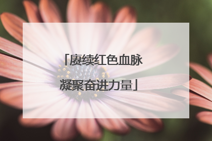 赓续红色血脉 凝聚奋进力量