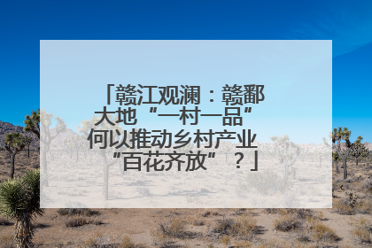 赣江观澜：赣鄱大地“一村一品”何以推动乡村产业“百花齐放”？