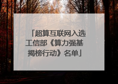 超算互联网入选工信部《算力强基揭榜行动》名单