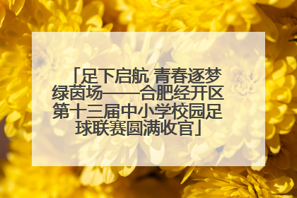 足下启航 青春逐梦绿茵场——合肥经开区第十三届中小学校园足球联赛圆满收官