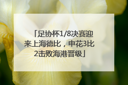 足协杯1/8决赛迎来上海德比，申花3比2击败海港晋级